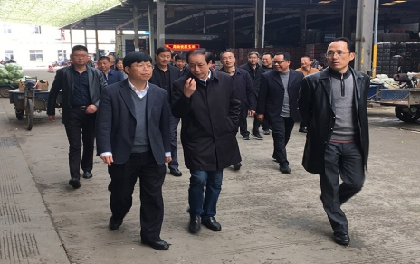 2017年3月16日下午，嘉興市委常委、常務(wù)副市長樓建明帶領(lǐng)市級相關(guān)部門負(fù)責(zé)人視察嘉興蔬菜批發(fā)市場