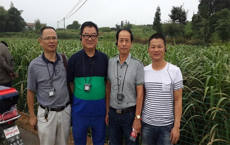 2014年8月，中國蔬菜流通協(xié)會會長戴中久與公司、市場領(lǐng)導(dǎo)一起考察蔬菜基地