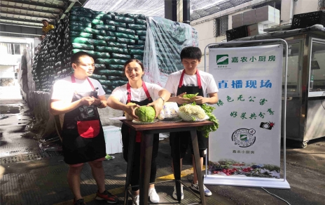 創(chuàng)意直播帶貨,本期專欄：蘭州高原夏菜！