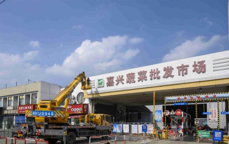 進(jìn)無止境，“嘉農(nóng)?蔬菜人”